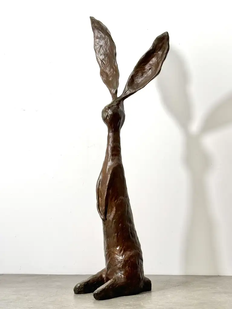 New arrivals at Dervano Studio